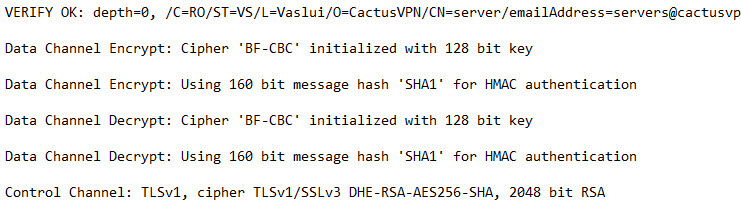 cactusvpn-openvpn